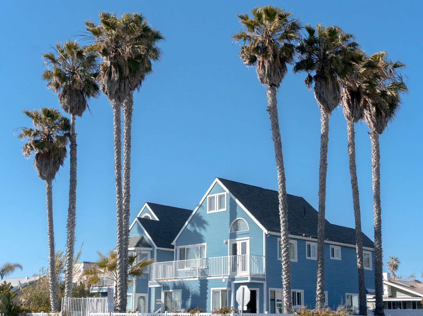 Blue and white coastal home framed by palm trees in Santa Cruz, California.